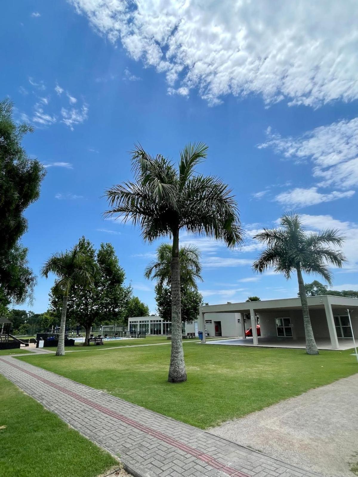 Belissimo No Norte Da Ilha *